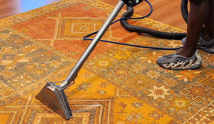 DIY rug cleaning