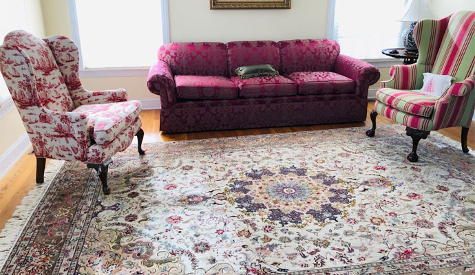 beautiful rug sofa and plant near window