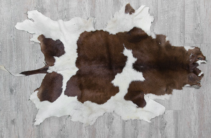 Animal Skin Rug Cleaning in New Jersey: Expert Care Tips for Pristine Rugs