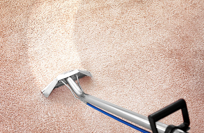 Steps for Easily Rugs Cleaning