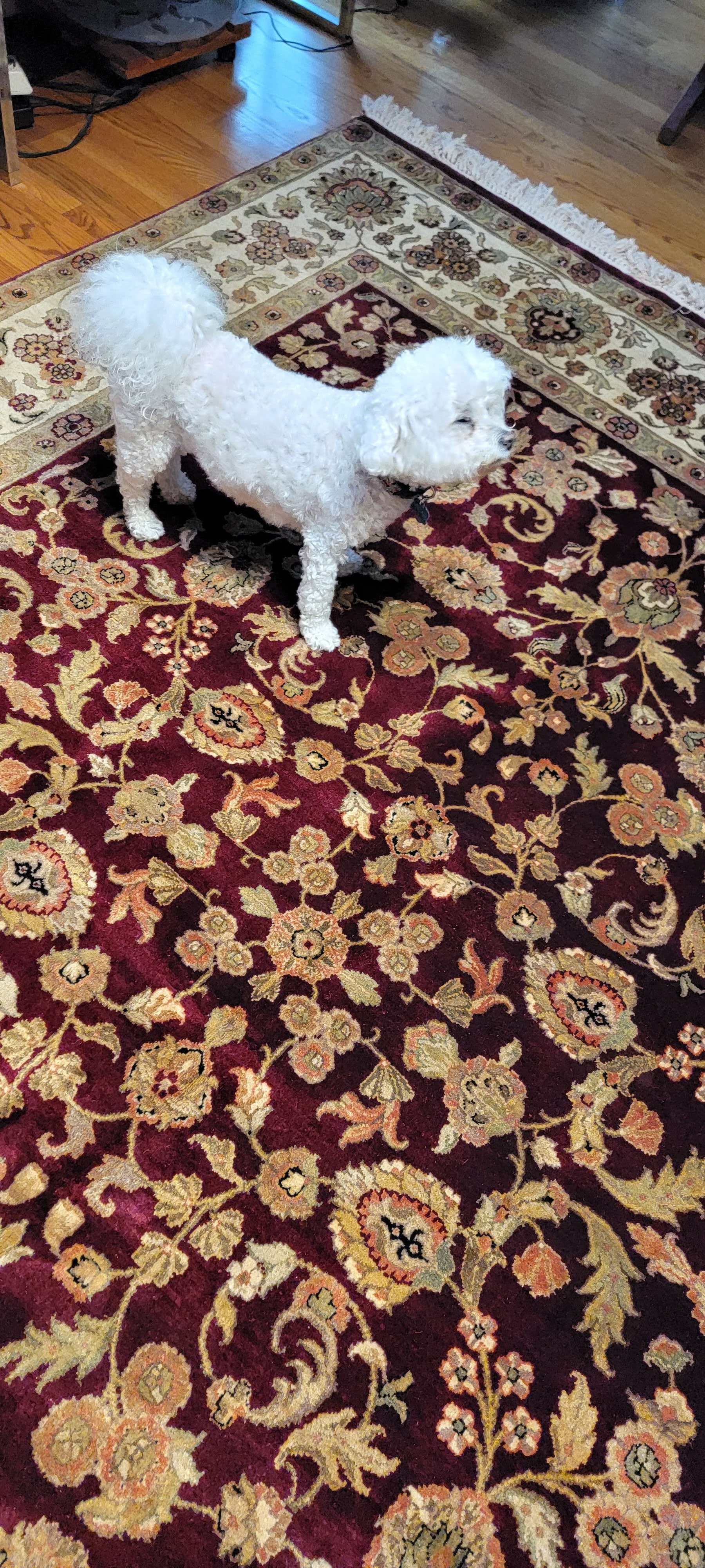 rug repair