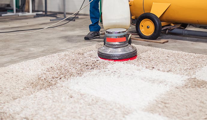 Professional cleaning rug using equipment