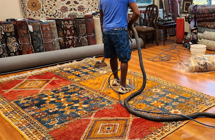 Professional facility rug cleaning