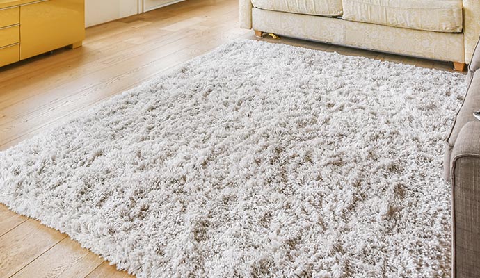 Shag rug placed on the floor